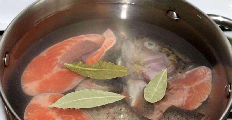 faire bouillir du poisson