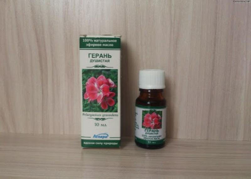 Géranium parfumé propriétés médicinales et contre-indications huile essentielle