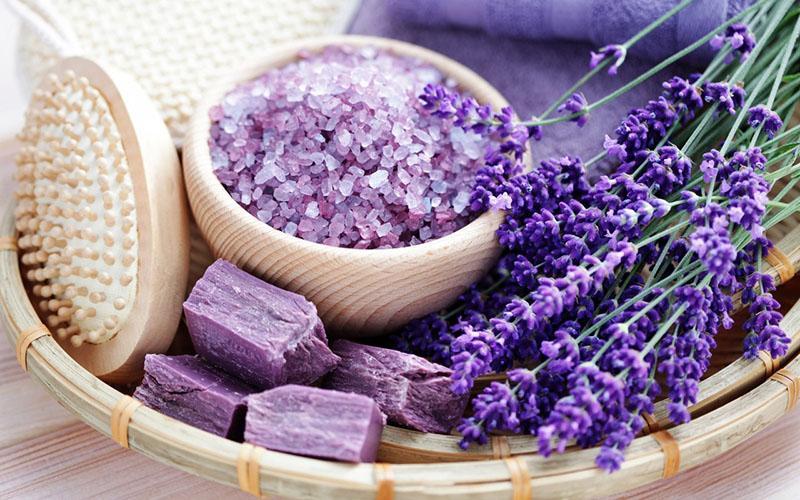 propiedades beneficiosas de la lavanda