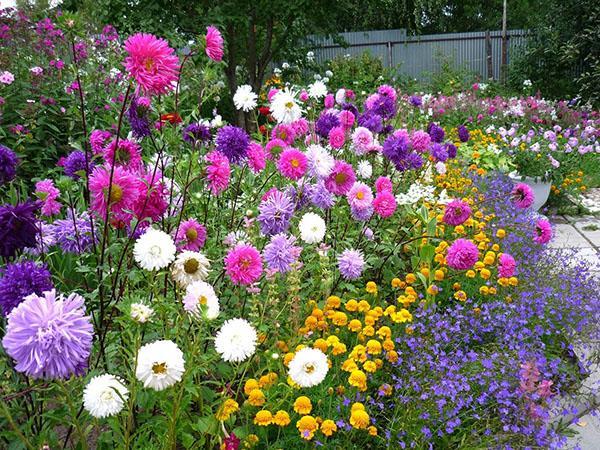 hermosa cama de flores