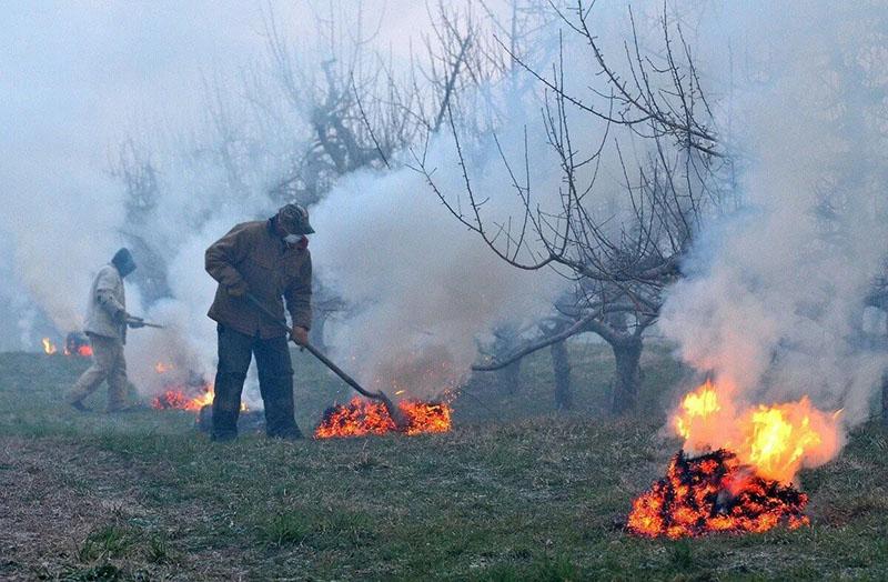 humo como protección contra las heladas primaverales