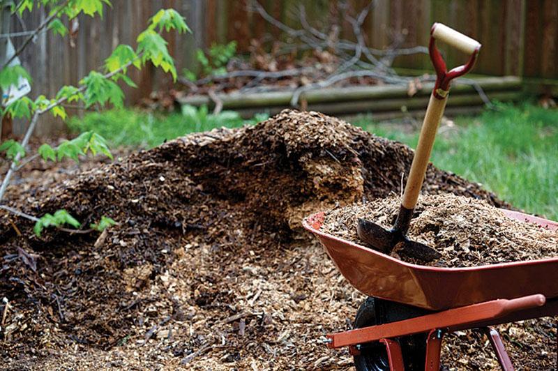 mulching como protección contra las heladas primaverales