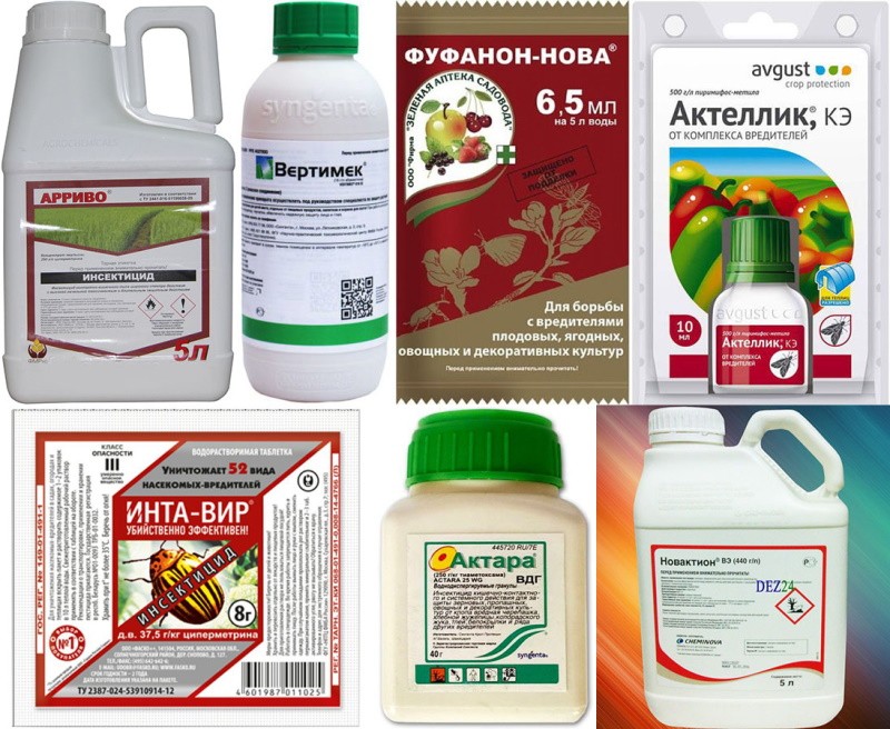 productos químicos contra la mosca de sierra del pino