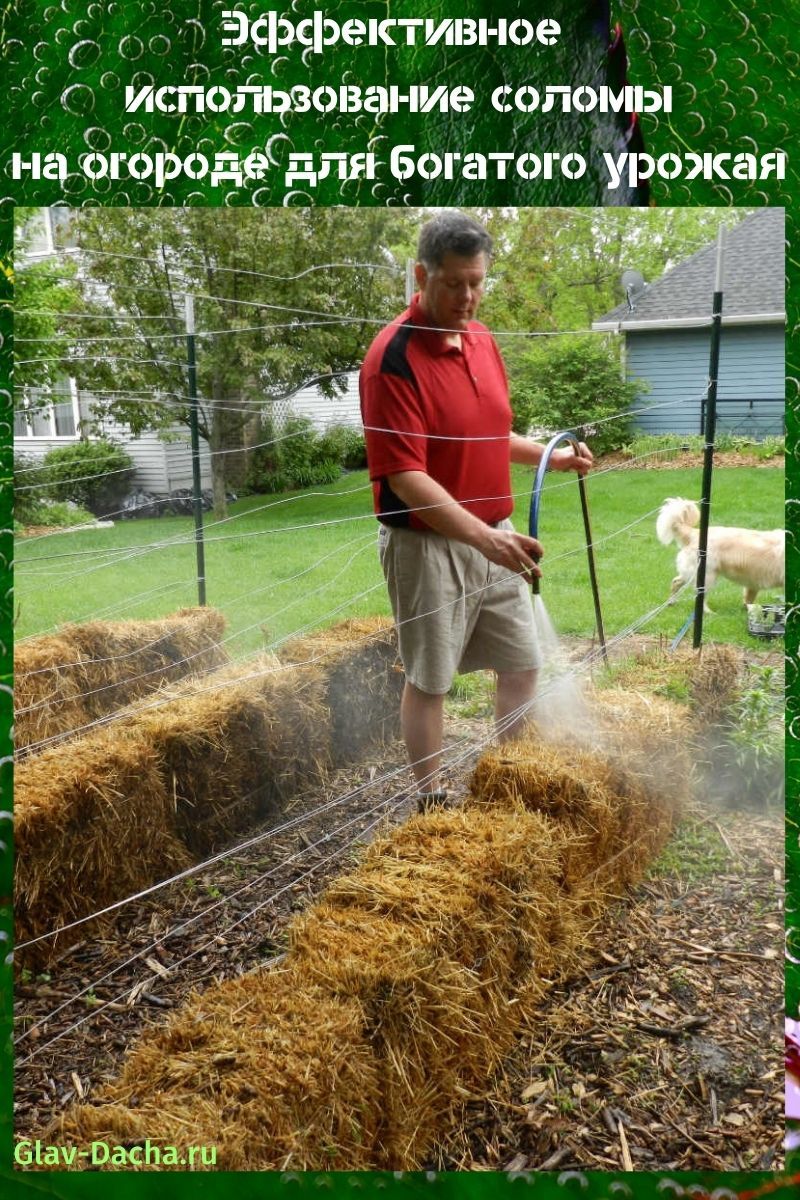 utiliser de la paille dans le jardin