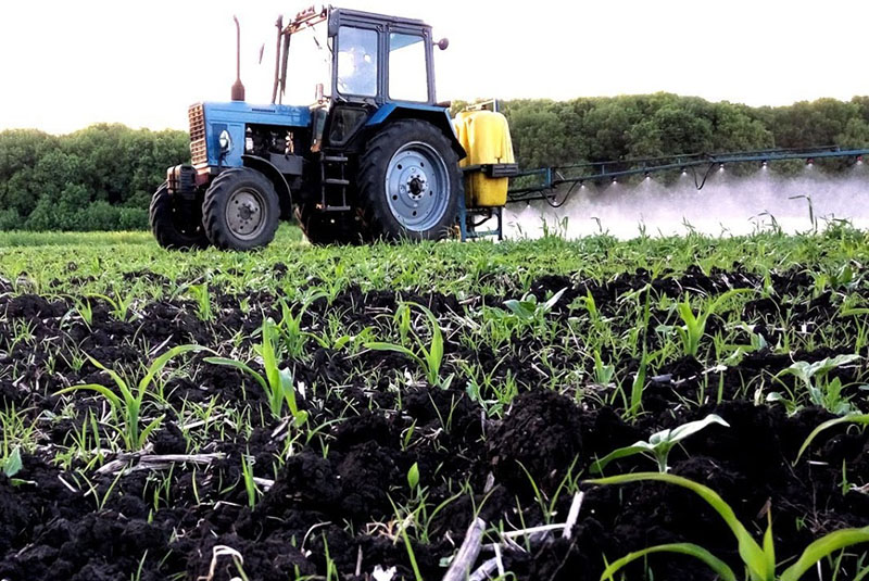 la aplicación del herbicida en cultivos de maíz