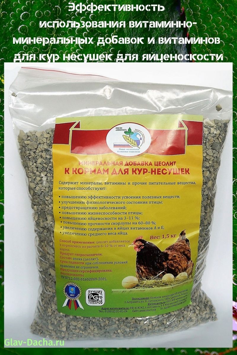 vitaminas para gallinas ponedoras para la producción de huevos