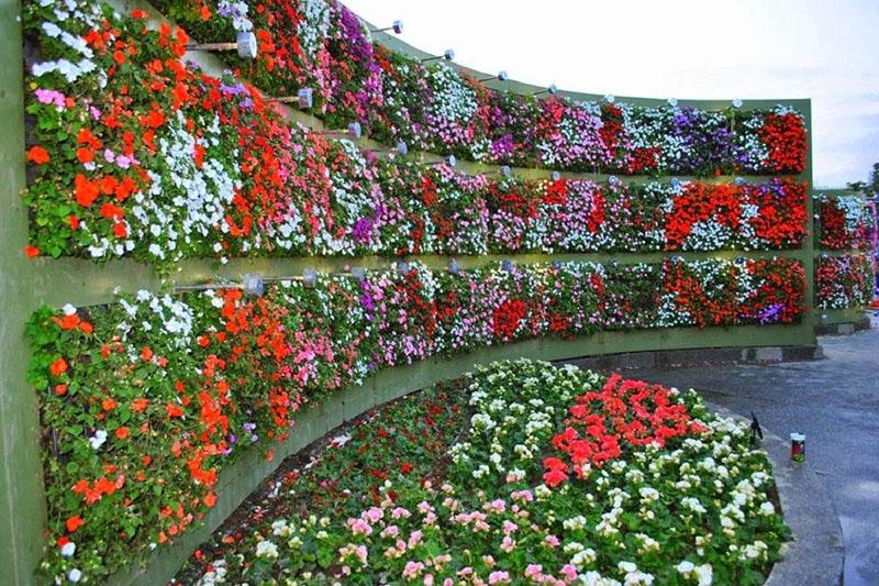 mur de jardin fleuri vertical
