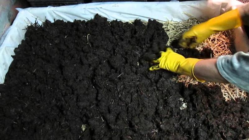 vermicompost