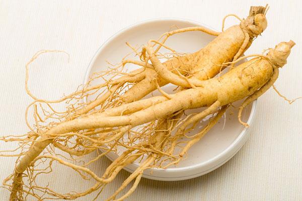 racines de ginseng médicinal