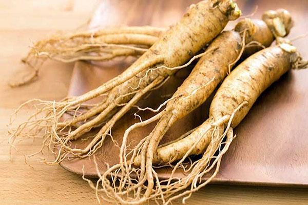 racine de ginseng en cosmétologie