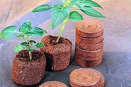 comprimés de noix de coco