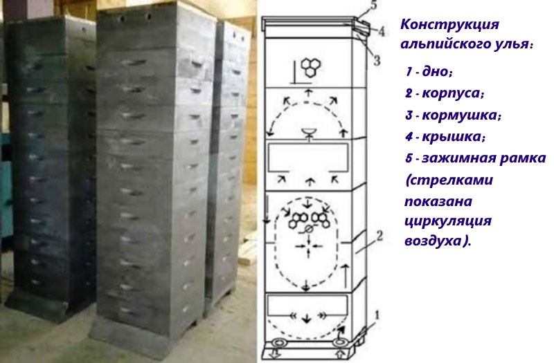 structure de ruche alpine