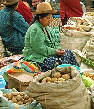 Patatas como alimento básico