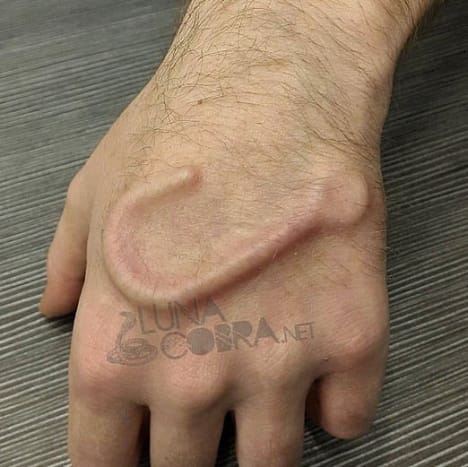 Zdroj: Instagram @lunacobra
