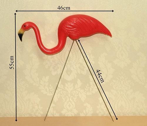 petit flamant