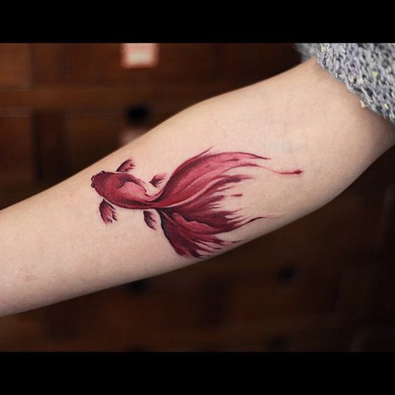 Fish Tattoo - TOP 200 - na světě jsou na tomto seznamu. Zařadil. Podívejte se na ně!