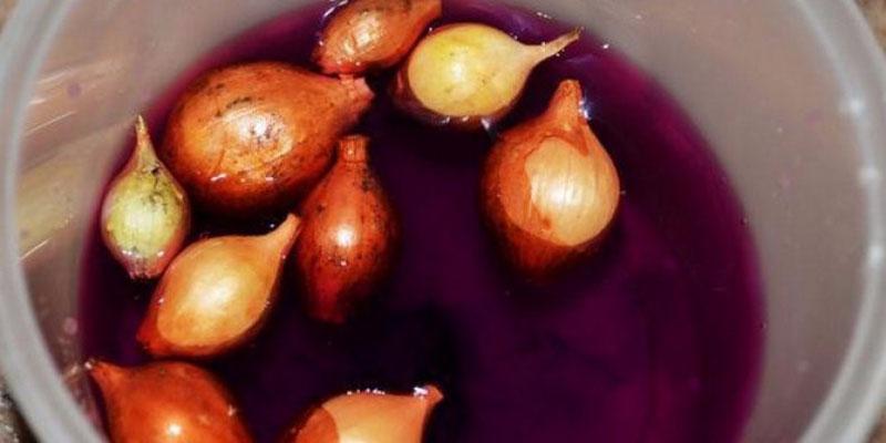 remojar los bulbos antes de plantar
