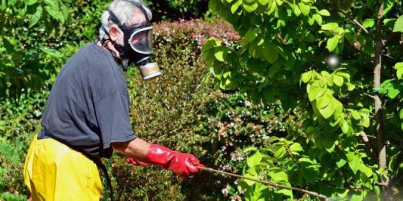 traitement du site par un phytodocteur