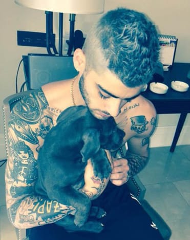 Zayn MalikDer frühere One Direction-Sänger Zayn Malik und seine damalige Freundin Perrie Edwards schienen alle Chancen zu übertreffen, als Zayn sein Porträt-Tattoo des Little Mix-Sängers debütierte, und sie schafften es trotzdem, zusammen zu bleiben. Sie haben sich sogar verlobt, aber leider dauerte es nicht lange, bis Zayn ihre Verlobung absagte und sich mit einem großen Armtattoo seiner Ex wiederfand. Jetzt, da Zayn mit Model Gigi Hadid zusammen ist, fragen wir uns, wie lange es dauern wird, bis der 23-Jährige beschließt, sein unglückliches Perrie-Porträt-Tattoo zu vertuschen.