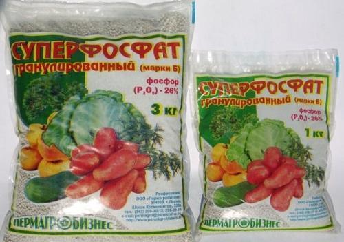 superphosphate