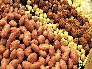 Pommes de terre de différentes variétés
