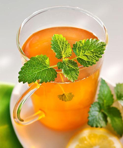 Té de limón y menta