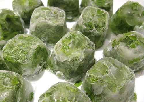 Cubitos de hielo de menta