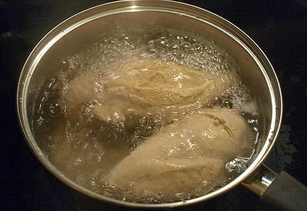 faire bouillir le filet de poulet