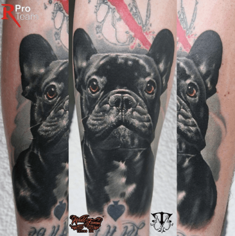 Tento pes ví, že je King. Tetování provedeno v Mirel Tattoo Art Gallery