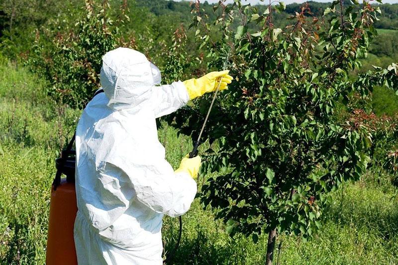 équipement de protection individuelle