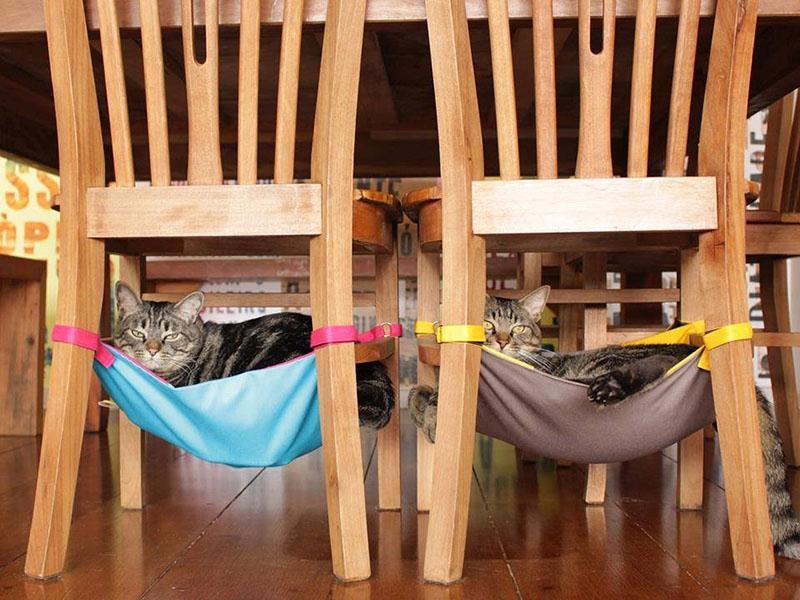 hamaca de gato debajo de la silla