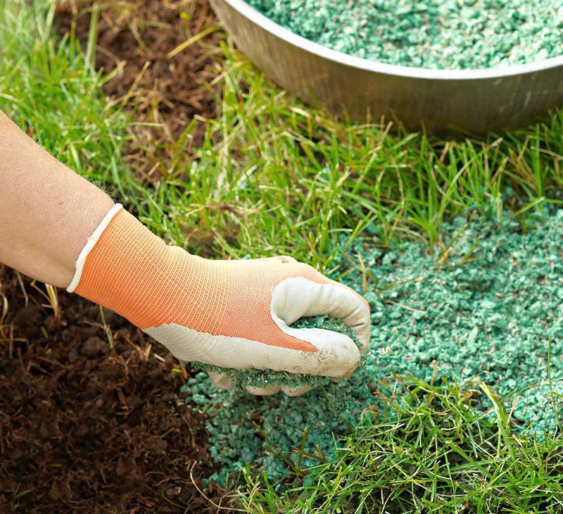 fertilizando el césped en primavera
