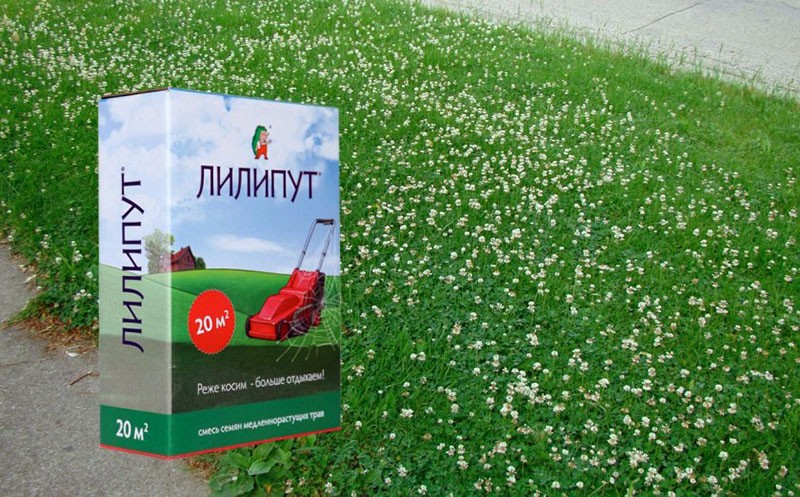 semillas de alta germinación