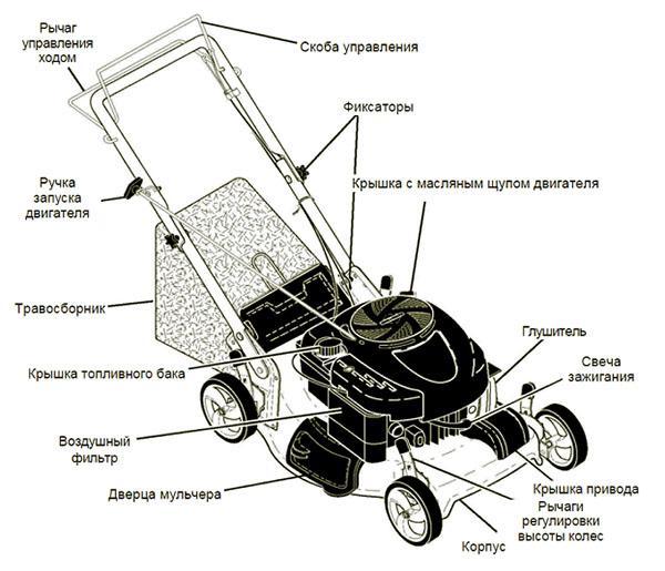 Caractéristiques distinctives des tondeuses à gazon Kraftsman