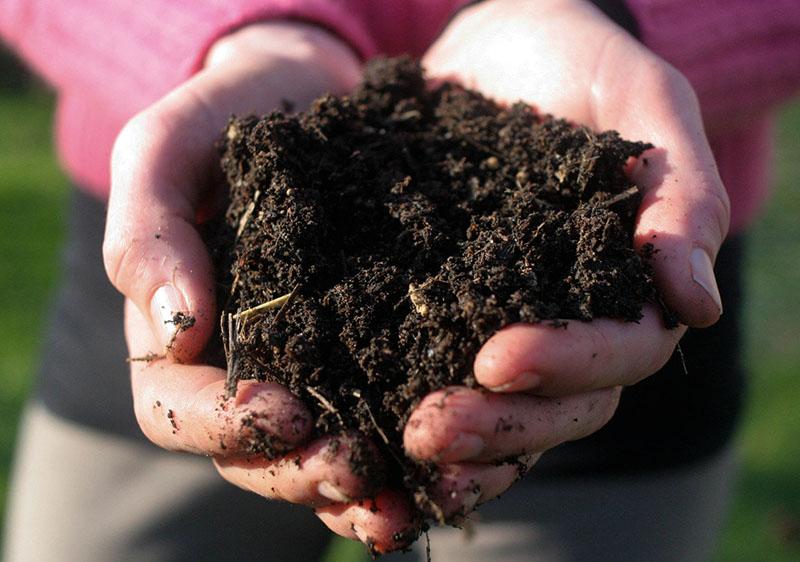 terre fertile