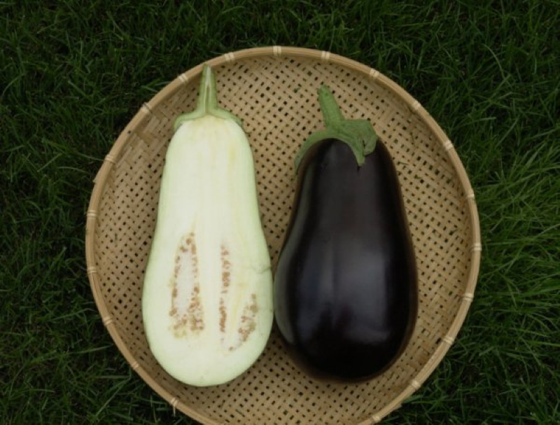 aubergine fruit épique