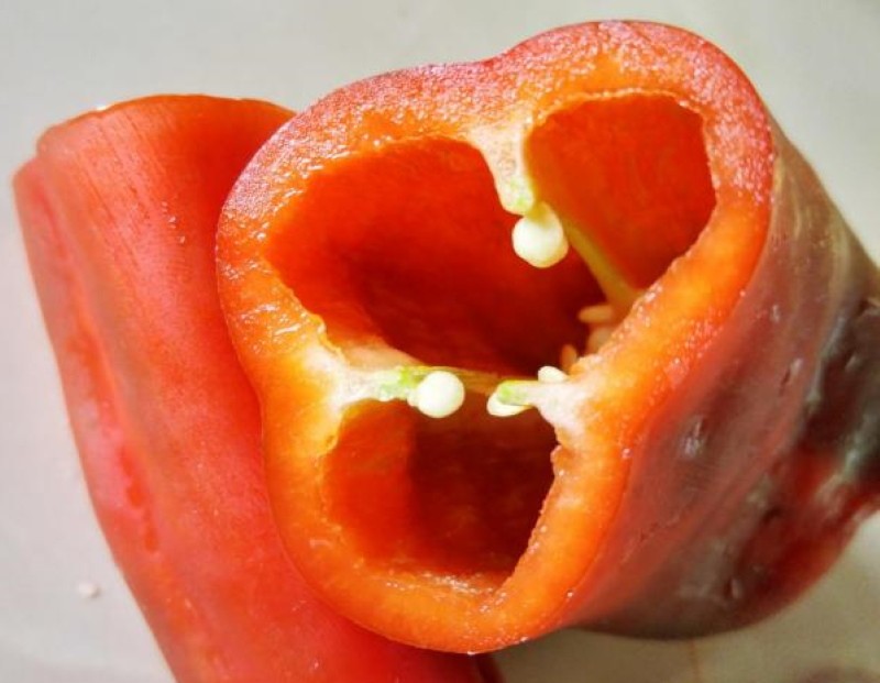 fruta de pimienta de cacatúa