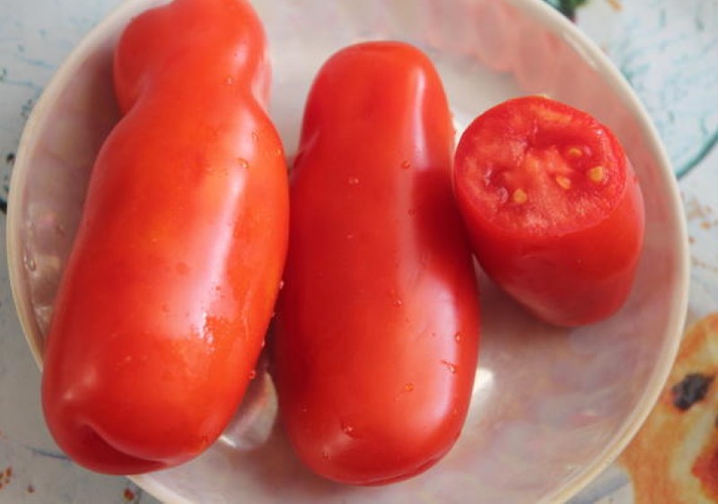 fruits de tomates casanova
