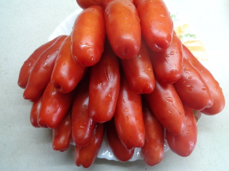avantages et inconvénients des tomates casanova