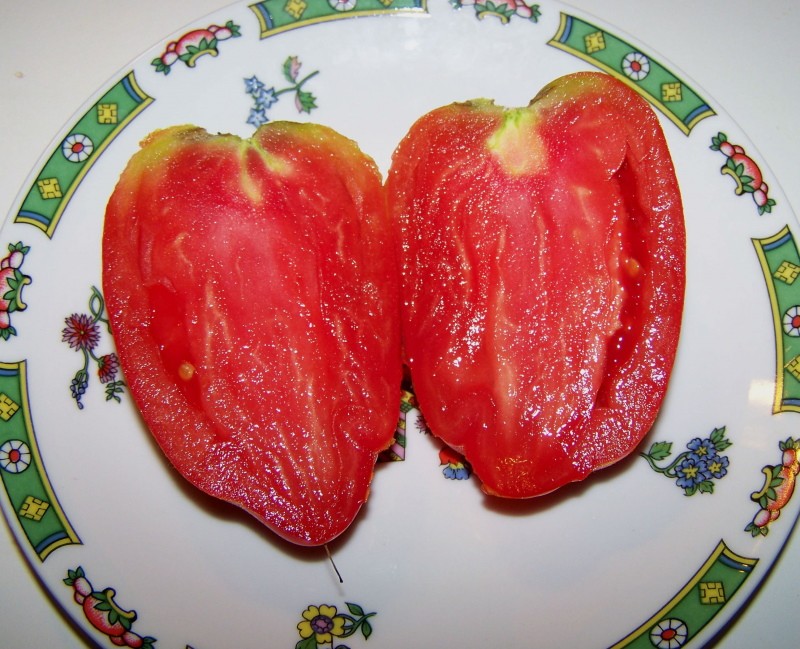 le fruit de la tomate cornabel