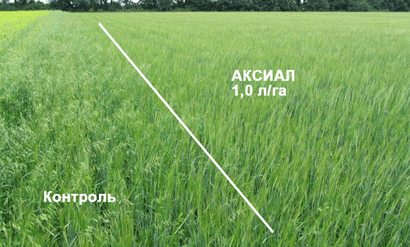 donde se aplica el axial