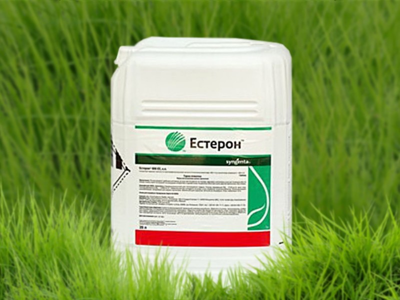 herbicide estérone