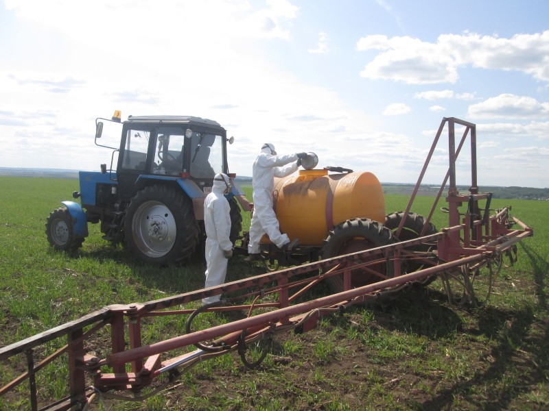 traitement du colza avec un herbicide de galère