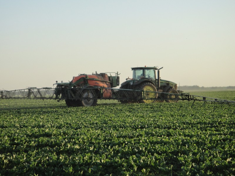 mode d'emploi de l'herbicide lontrel grand