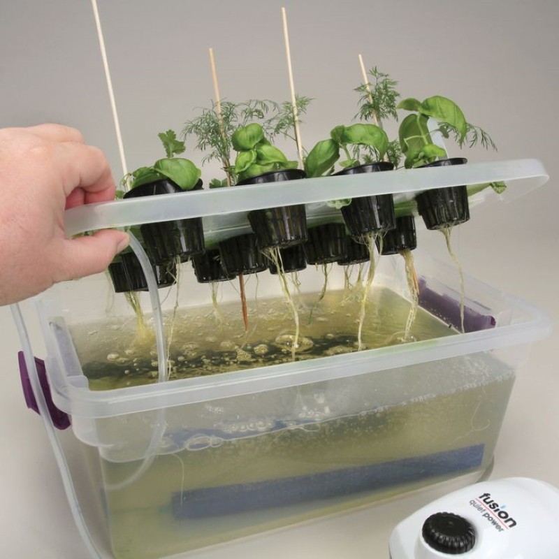 planta hidropónica para el cultivo de vegetación