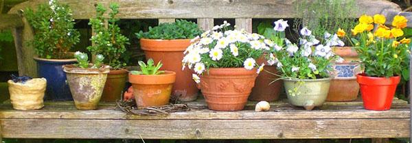 pots en céramique