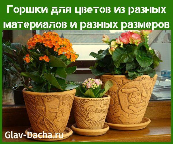 pots de fleurs