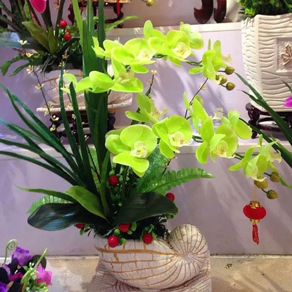 pots d'orchidées maison