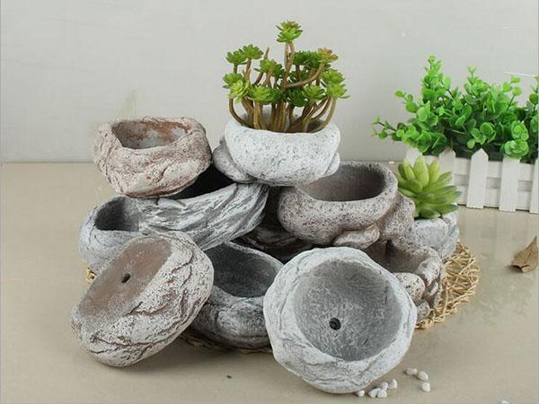 bols pots pour succulentes