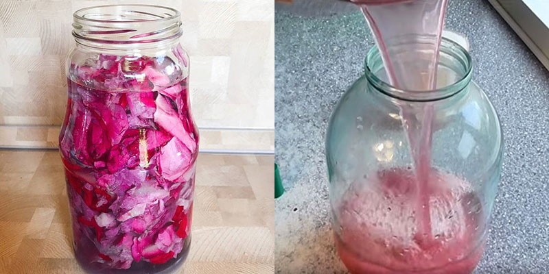 verser des pétales de rose avec du sirop